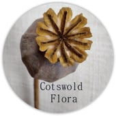 CotswoldFlora