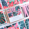 Flourish Collection - Box of 12 Small Cards