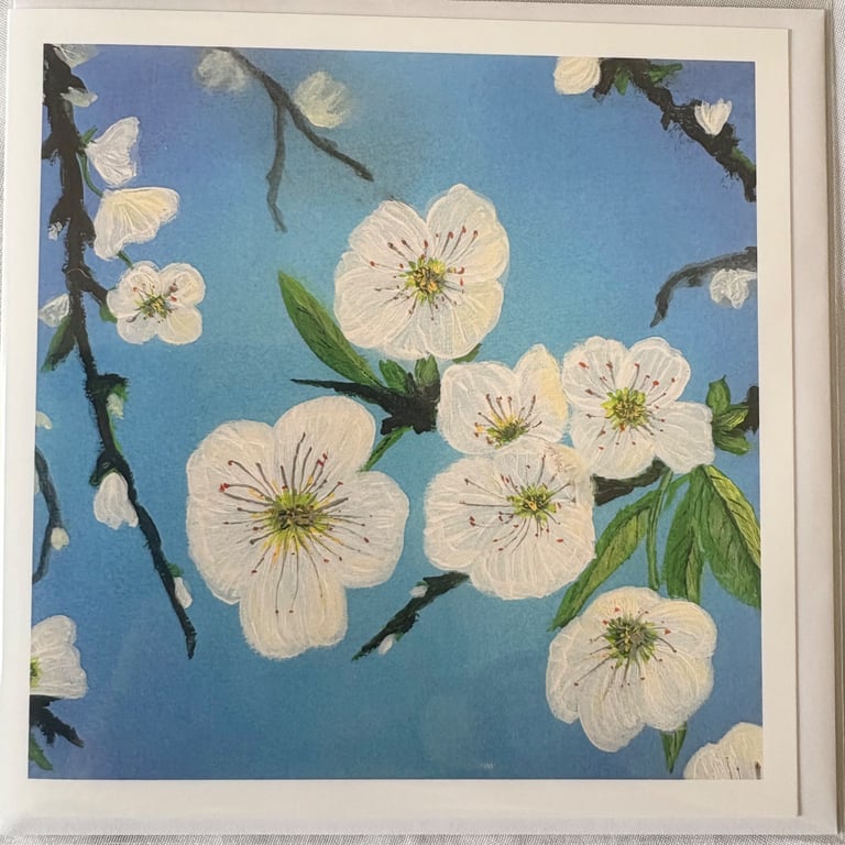 Greetings Card - The White Collection - Apple Blossom