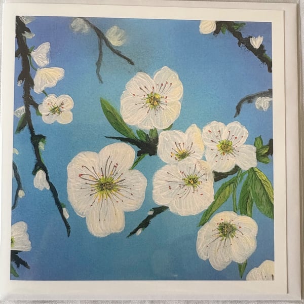 Greetings Card - The White Collection - Apple Blossom
