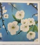 Greetings Card - The White Collection - Apple Blossom