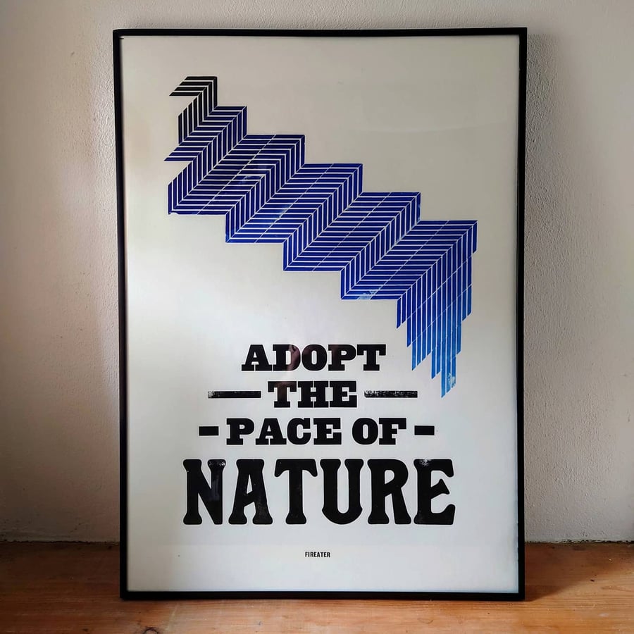 Adopt the Pace of Nature