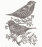 House Sparrows linocut print - Image 2