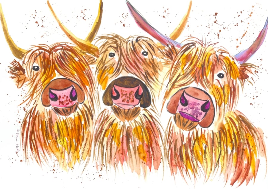 Three Highland Cows Greeting card 5" x 7" " Triumphant Trio"