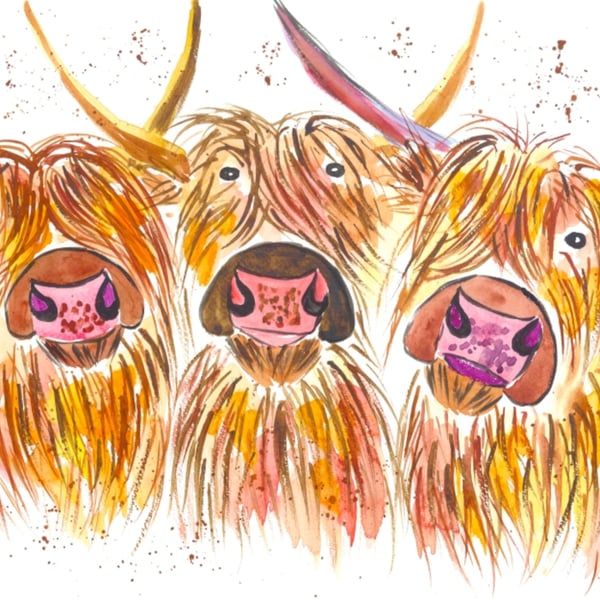 Three Highland Cows Greeting card 5" x 7" " Triumphant Trio"
