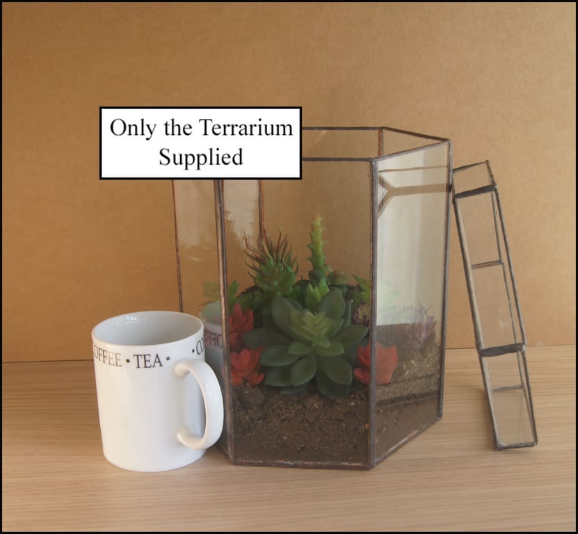 Indoor glass planter with removable top.