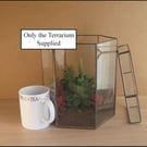 Indoor glass planter with removable top.