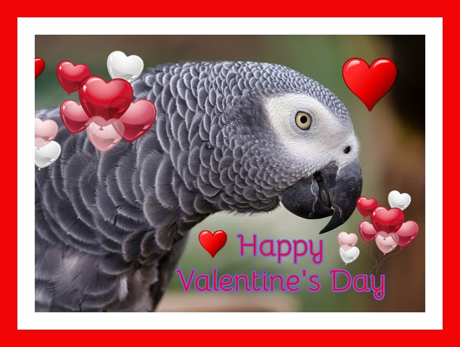 Happy Valentine's Day African Grey Greeting Card A5