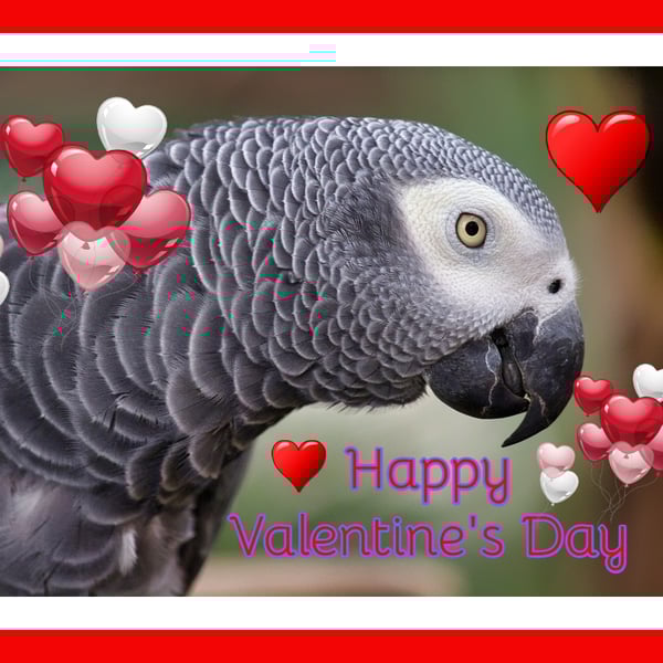 Happy Valentine's Day African Grey Greeting Card A5
