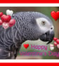 Happy Valentine's Day African Grey Greeting Card A5