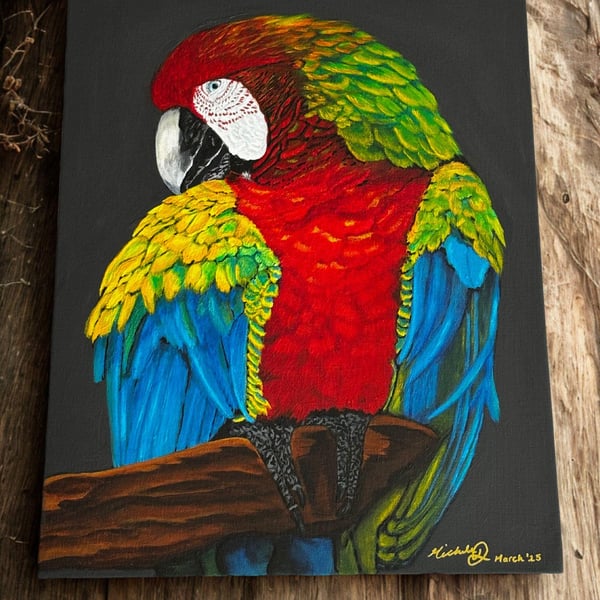 Original Acrylic Painting – Red Macaw