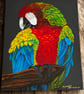 Original Acrylic Painting – Red Macaw
