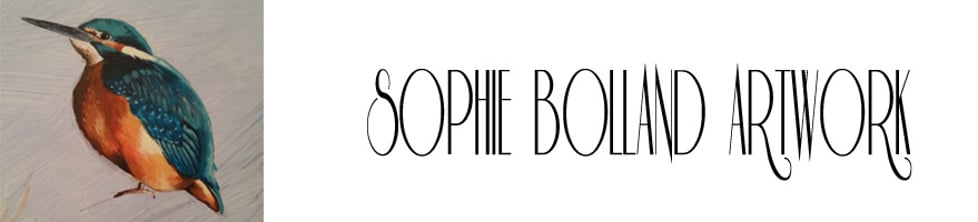 Sophie Bolland Artwork