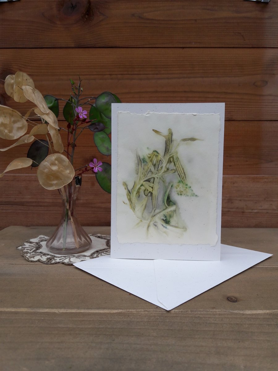 Handmade Rosemary and Chilli Eco Print Card