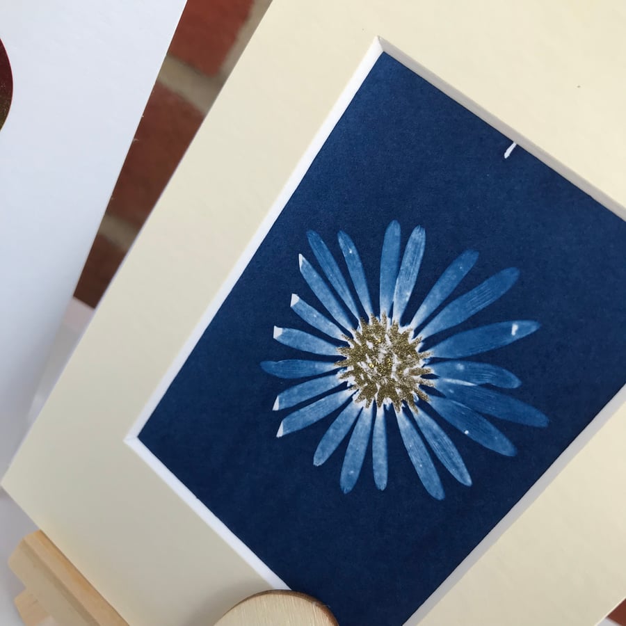 Botanicals looking lovely, in 3 Cyanotype and Gold, handmade Photograms.