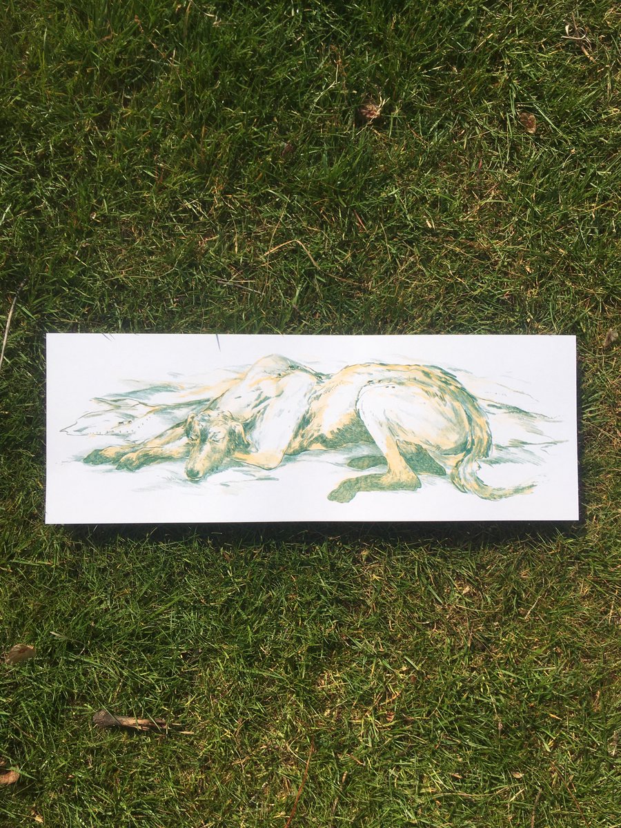 Bran Sleeping - 140x420mm Risograph Print