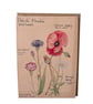 Botanical watercolour greetings card  - Image 2