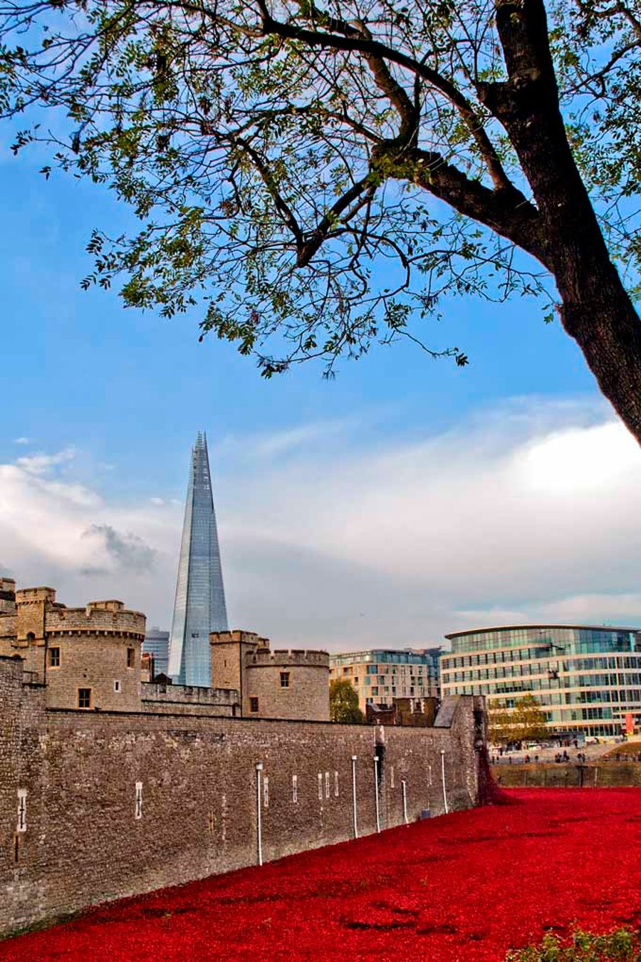 Tower Of London Poppies Red Poppy England Photograph Print