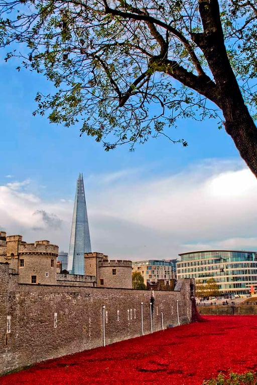 Tower Of London Poppies Red Poppy England Photograph Print