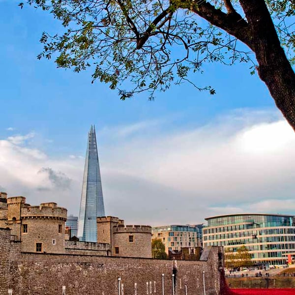 Tower Of London Poppies Red Poppy England Photograph Print