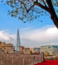 Tower Of London Poppies Red Poppy England Photograph Print