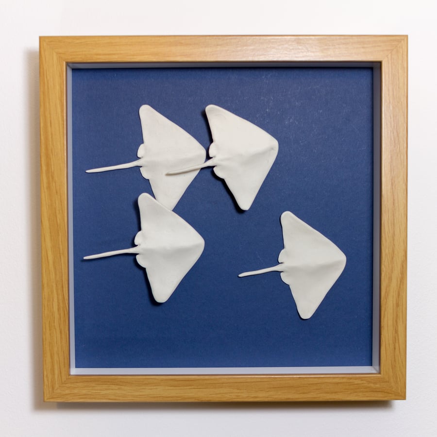 Porcelain Swimming Fish - Four Rays - Box Framed Picture