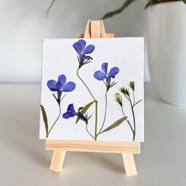 Real Pressed Lobelia  Miniature Botanical Canvas on Wooden Easel