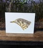 Mistle Thrush Acrylic Painting - Image 1