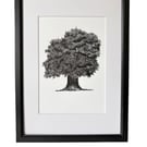 Tree Illustration with Mount Board 
