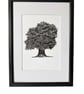 Tree Illustration with Mount Board 