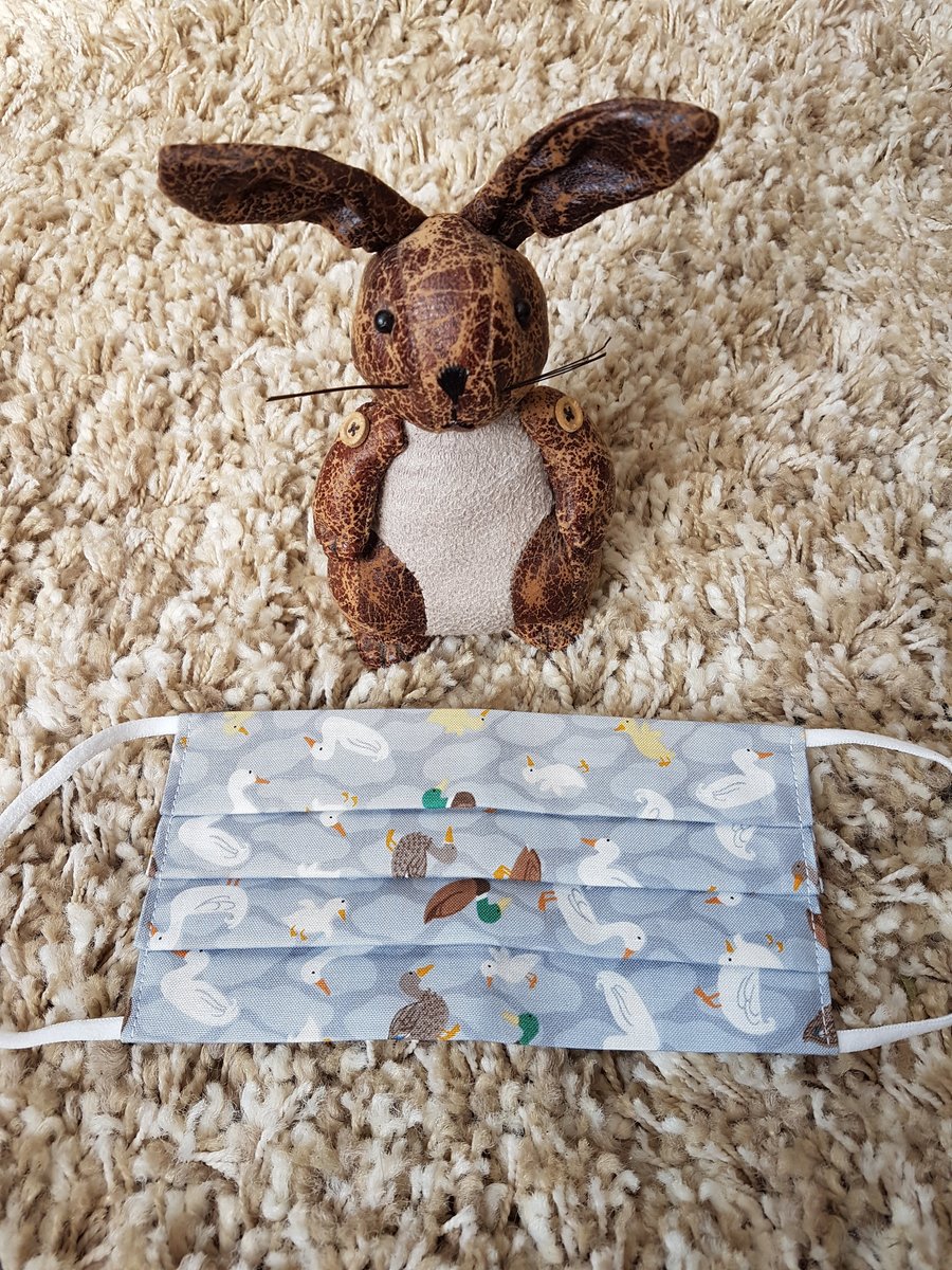 Adult  face covering - Assorted Duck print