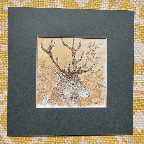 Autumnal stag - original illustration 