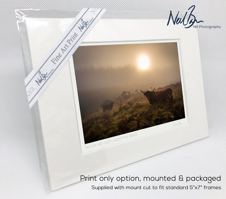 Highland Cow and Calf Scotland - A6 (7"x 5") Unframed Print