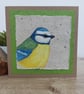 Blue Tit Handpainted Greetings Card. British garden birds.