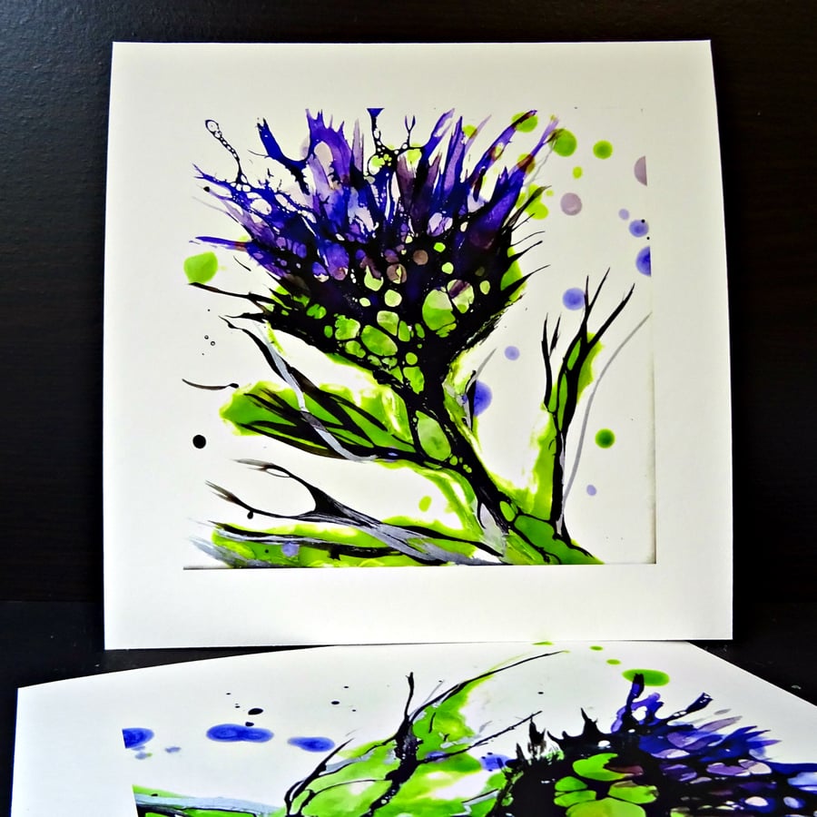 Giclee Print - Wild Thistle Flower - Scotland 