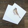 Song Thrush square card