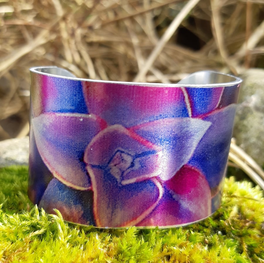 Echeveria Cuff