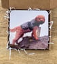 Custom photo gift - personalised coaster - pet owner gift - keepsake. - Image 4