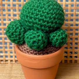 Handmade Crochet Cactus in Terracotta Pot