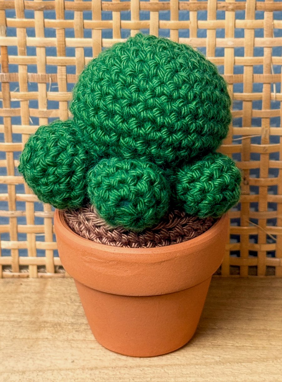Handmade Crochet Cactus in Terracotta Pot