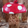 Spotty Toadstool with Caterpillar (E2)
