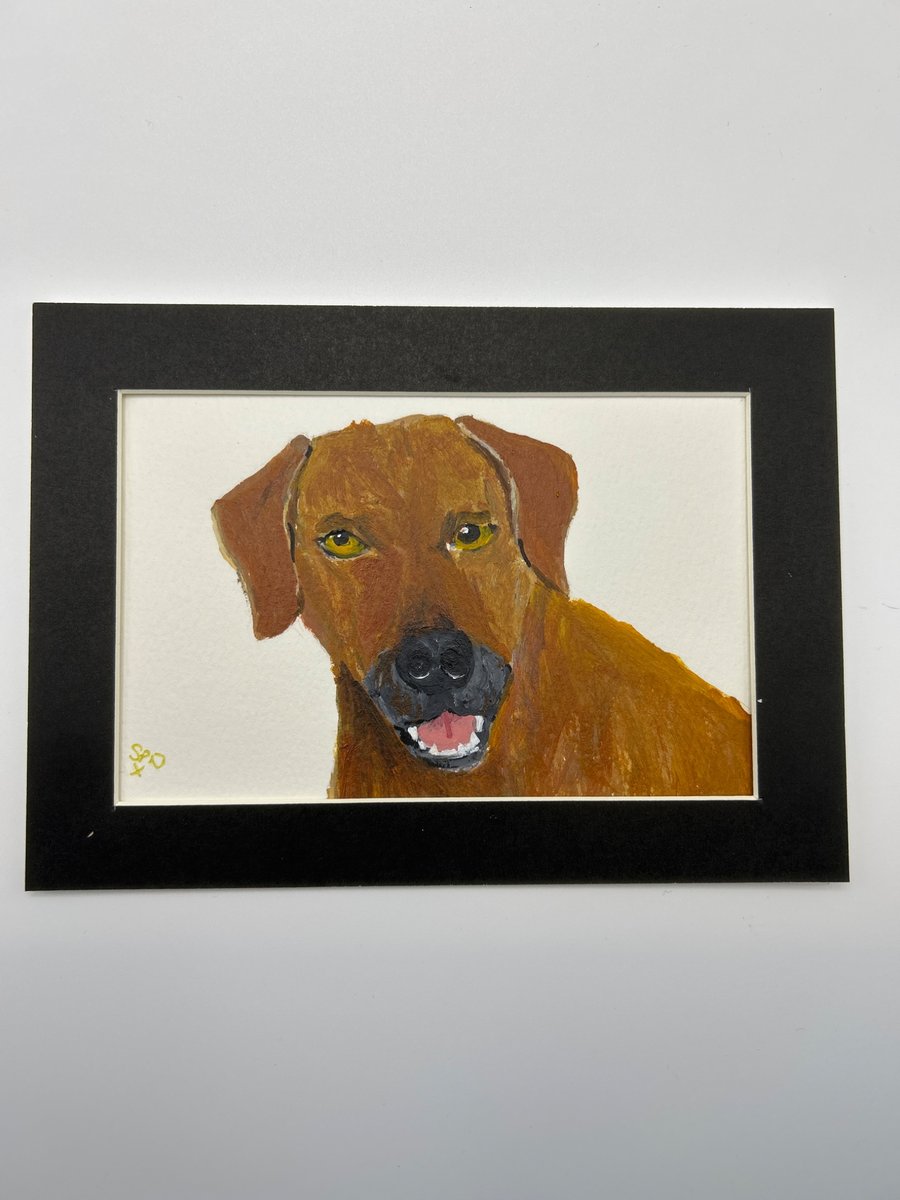 Original painting 5x7" dog portrait 