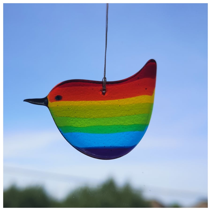 wee  'Rainbow Wren of Hope' bird with red back and tail