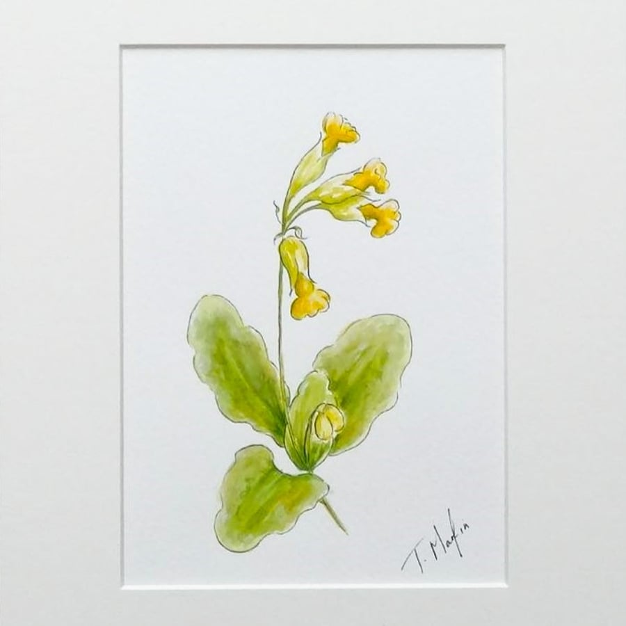 Original Art Watercolour Painting Floral Wildflower 'Cowslip'