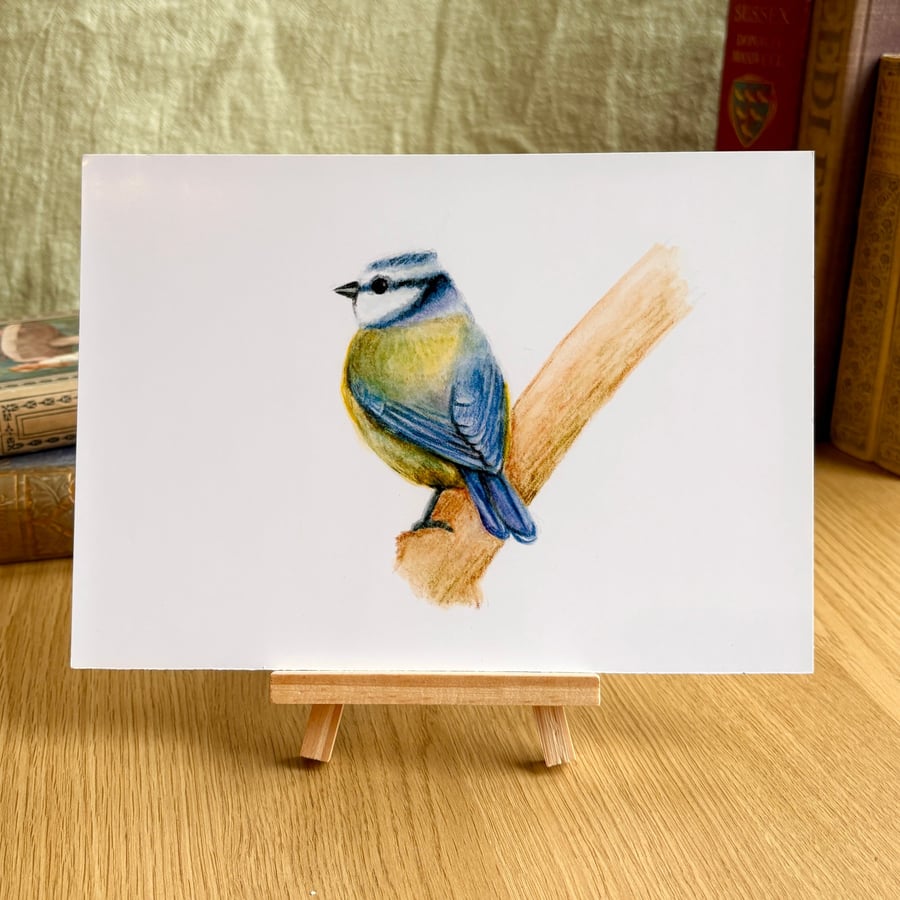 Blue Tit - Art Print A5 or A4