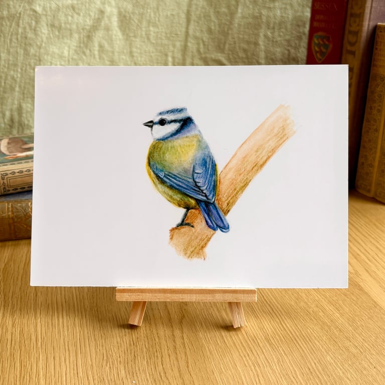 Blue Tit - Art Print A5 or A4
