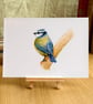 Blue Tit - Art Print A5 or A4