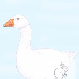 Goose - Birthday Card