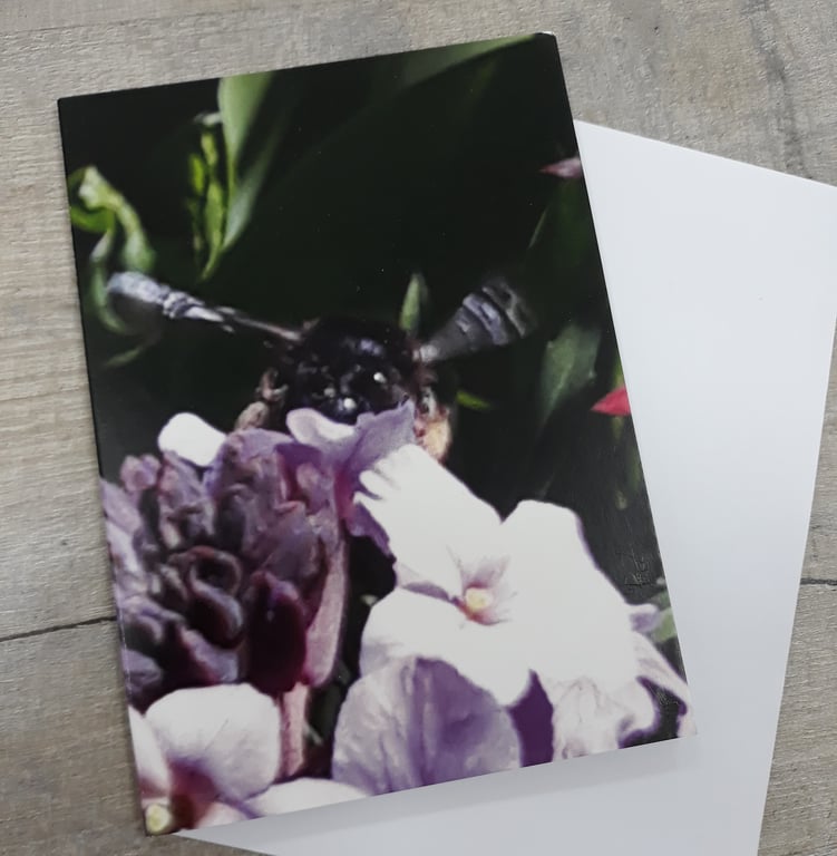 JW001  Cute bee face card