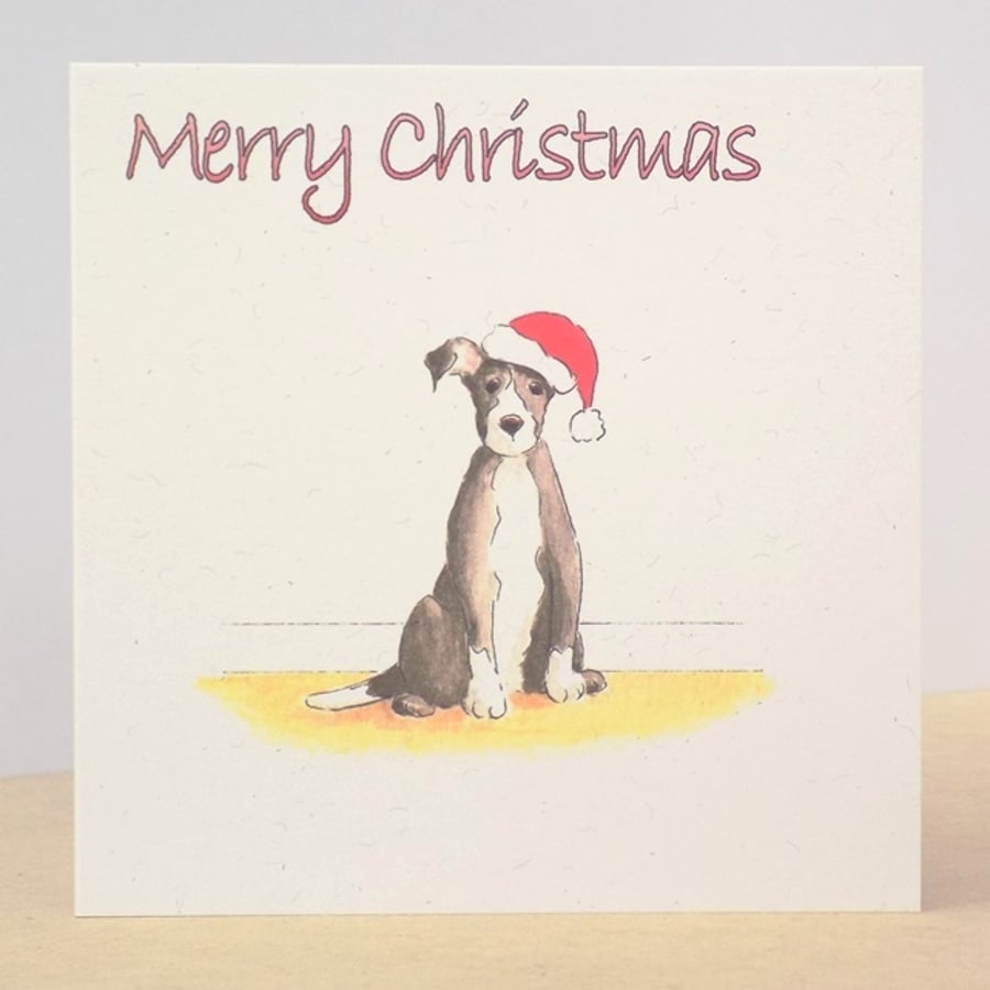 Christmas Card Christmas Puppy